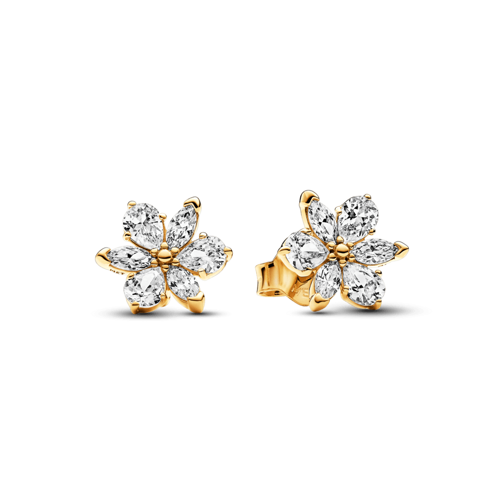 Aretes de Botón Herbario Brillante
