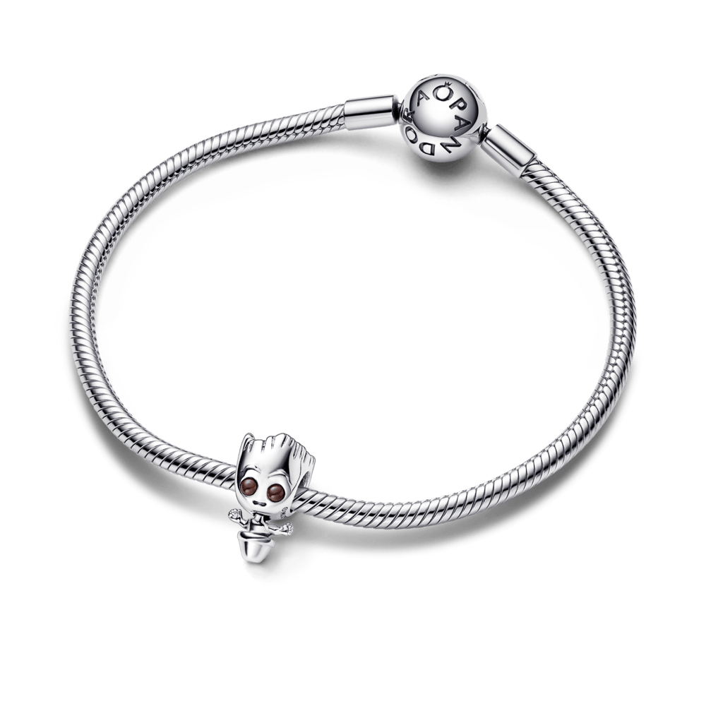 Popular Pandora Charms