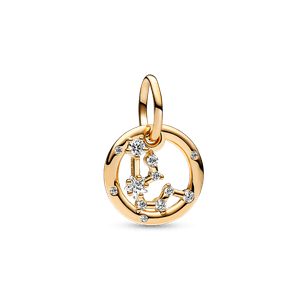 Charm Colgante Zodiaco Acuario