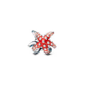 Mini Charm Estrella de Mar Colorida