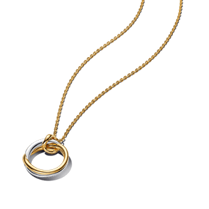 Collar con Colgante en Dos Tonos de Forma Orgánica