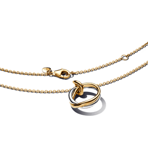 Collar con Colgante en Dos Tonos de Forma Orgánica