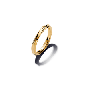 Anillo Torcido