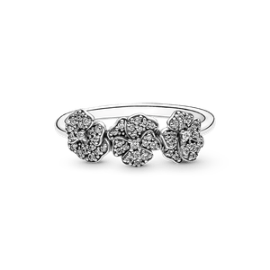 Anillo Tres Pensamientos