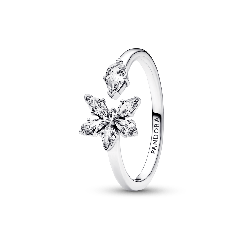 Anillo abierto Racimo herbario reluciente